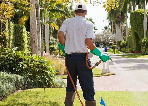 About Scotland TX Pest Control